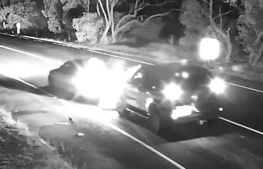 Drivers Steal Hay Bale by Squeezing It Between Cars